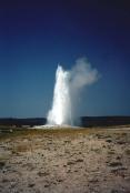 The Old Faithful