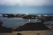K�ste von Monterey